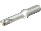 SANDVIK/コロドリルDS20刃先交換式ドリル 465 DS20-D1700L20-04 465