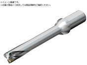 SANDVIK/コロドリルDS20刃先交換式ドリル 465 DS20-D2500L25-06 465