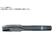 OSG ^bv 16706 EX-H-POT-STD-M2.5X0.45 16706