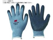 3M/RtH[gObv EH[^Cv L GLOVE W L