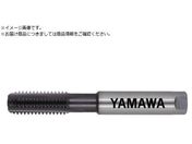 }/pA~ޗp~茊pdnh^bv HFACT-B P3 M12X1.75 HFACT-B-M12X1.75