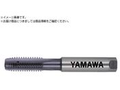 }/pA~ޗpʂ茊pdnh^bv HFACT-P P3 M12X1.75 HFACT-P-M12X1.75