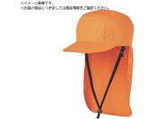 DIC/IZANO CAP2 h^Cv SMTCY IWIZANO CAP2