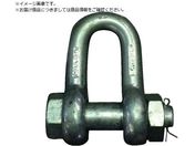 TAIYO/JISシャックル M級 ドブ SB-26 3010556 JSB26G