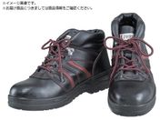 ӂ/SV[YnCJbg^Cv 24.5 JW760-245