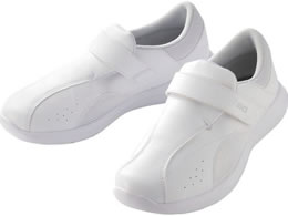 Zu i[XEH[J[101 zCg  FMN101-01