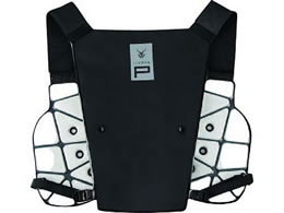 rbO{[ ACX}PCMxXg ICM-PV2