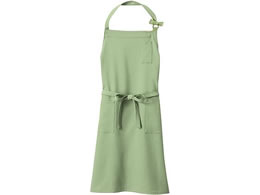 CounterBiz Gv jp  F WP765