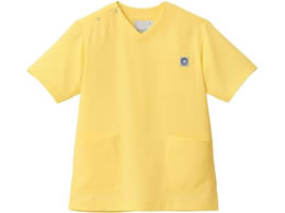 Zu XNu p  TCgCG[ MS005-41