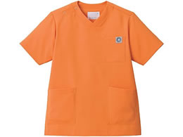 Zu XNu p  MRCG[MS005-42