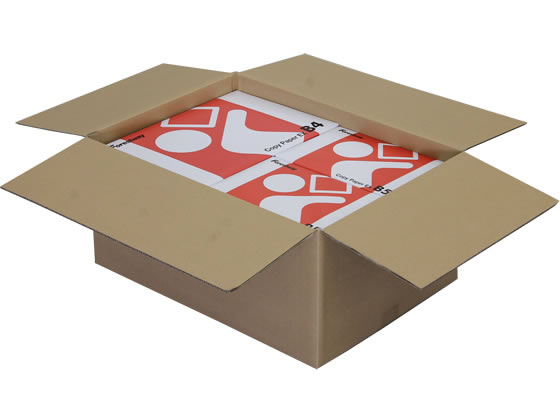 宅配用段ボール箱 B3(L) 120サイズ 540×390×260mm 20枚 通販