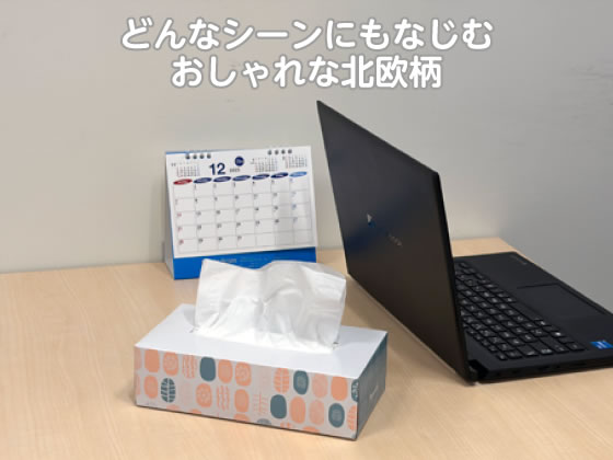 Forestway ティッシュペーパー ノルディック 200組 5個×12パック 通販