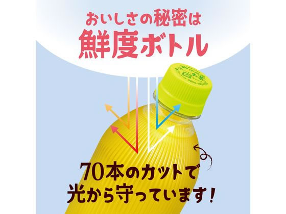 伊藤園 お～いお茶 カフェインゼロ 470ml×24本 ラベルレス 通販