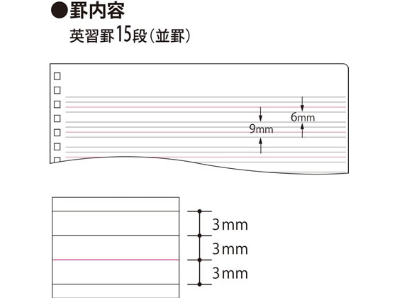 コクヨ 英習帳(ソフトリング) セミB5 英習罫15段 40枚 ス-S800 