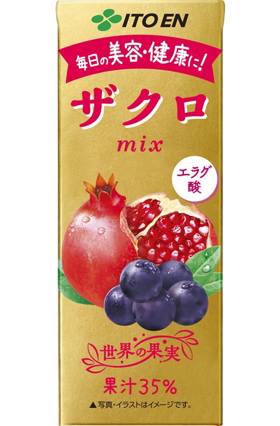 伊藤園 ザクロmix 紙パック 200ml 通販【フォレストウェイ】