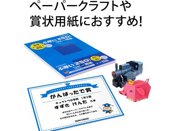 キョクトウ ぶ厚いコピー用紙250g/㎡ A4 25枚 PPC250A4 | Forestway キョクトウ ぶ厚いコピー用紙250g/㎡ A4 25枚 PPC250A4 | Forestway