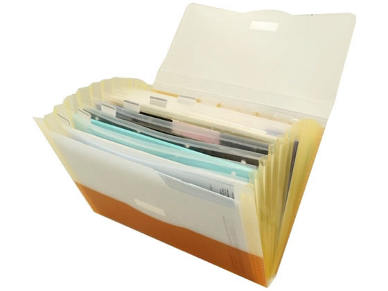 G5610-4 リクエスト　ドキュメントファイル Ａ４ オレンジ リヒトラブ 4903419833251（20セット） G5610-4-ORX5 直送 代引不可 5個セット LIHIT LAB． リクエスト