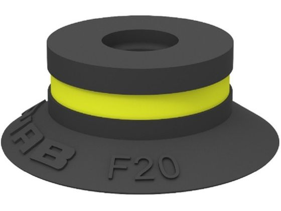 sAu TNVJbv F20.10 01 01 129 F20.10