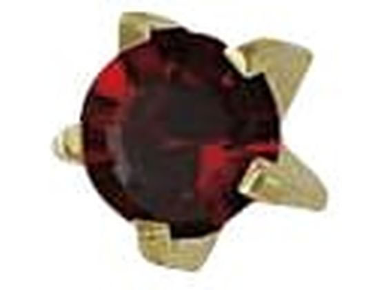 JPS JPS�Z�C�t�e�B�X�^�b�h(�`�^������ 1���K�[�l�b�g ��×p�s�A�X 24-5205-05 R101TL(�K�[�l�b�g)