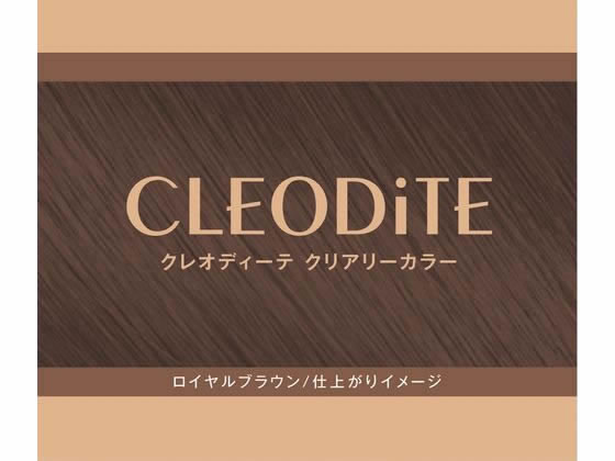 ダリヤ クレオディーテ クリアリーカラー ロイヤルブラウン 通販