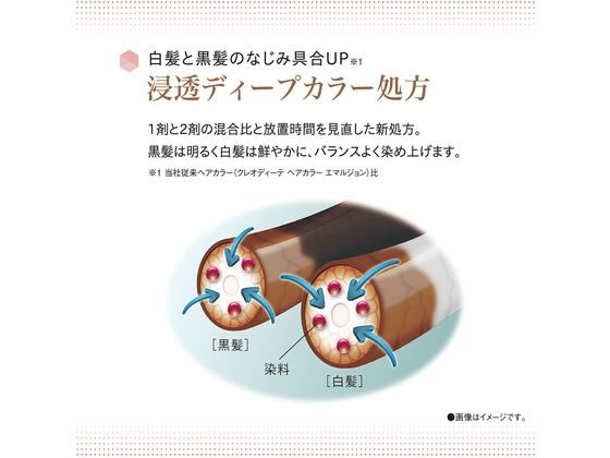 ダリヤ クレオディーテ クリアリーカラー エメラルドアッシュ 通販