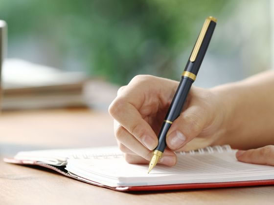 プラチナ 万年筆 BISO ミスティックパープル 細字 PTL-15000 28-2 通販