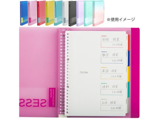 マルマン セッション プラスチックバインダー B5 ミントグリーン F310