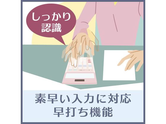 カシオ 本格実務電卓(検算) デスクタイプ 10桁 DS-10WKA-N | Forestway