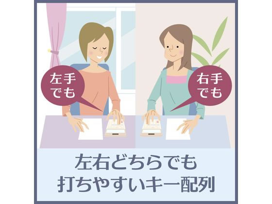 カシオ 本格実務電卓(検算) デスクタイプ 10桁 DS-10WKA-N | Forestway