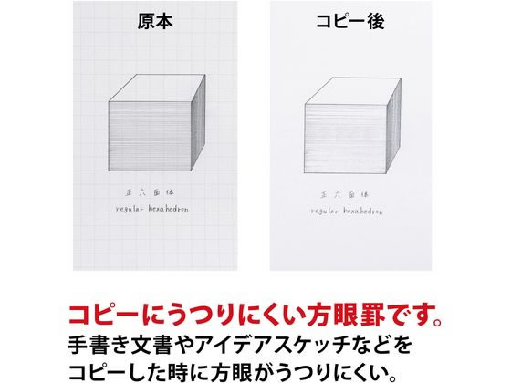 オキナ 方眼模造紙 全判プロジェクト 白 50枚巻 TPZ1WH | Forestway