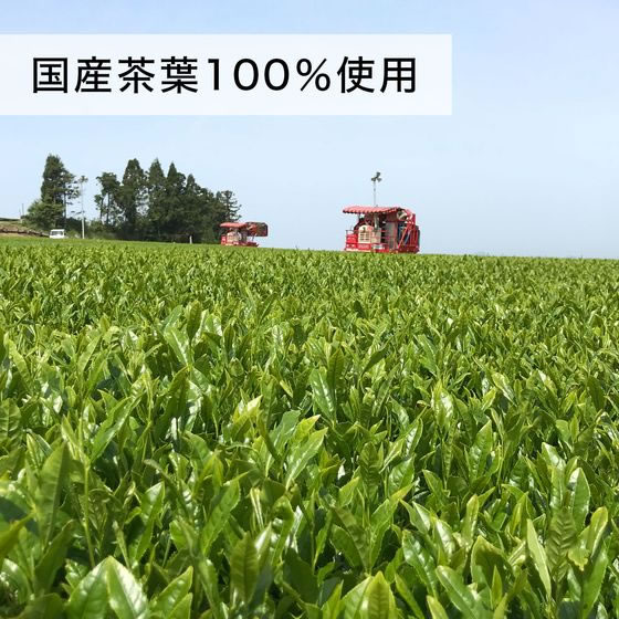 伊藤園 お～いお茶 濃い茶 600mL×24本 通販【フォレストウェイ】