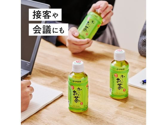 伊藤園 お～いお茶 緑茶 195mL 通販【フォレストウェイ】