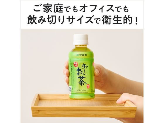 おーいおちゃ 伊藤園 お～いお茶 緑茶 195ml 通販【フォレストウェイ】