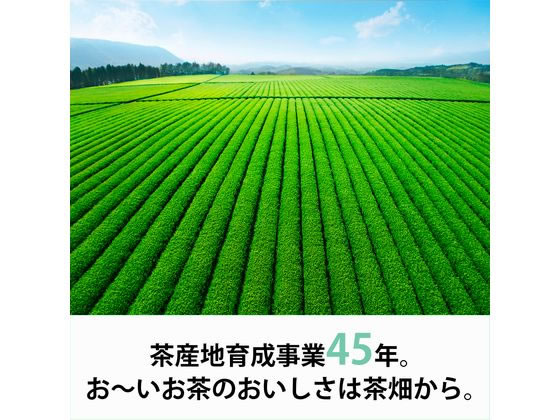伊藤園 お～いお茶 緑茶 195mL×90本 通販【フォレストウェイ】
