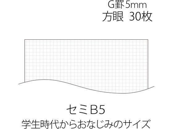 プラス ノート ノートブック セミB5 6号 G罫 5mm方眼 30枚 76 プラス ノート ノートブック セミB5 6号 G罫 5mm方眼 30枚 76