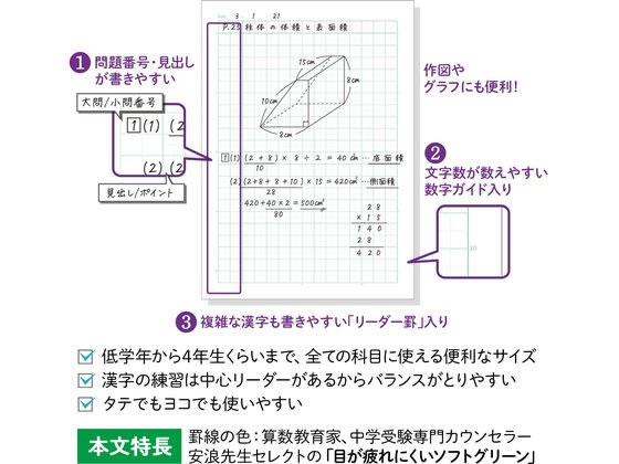アピカ 中学受験OKノート セミB5 10mmマス 5冊組 LGU10G05 通販