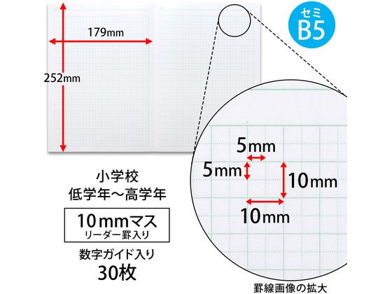 アピカ 中学受験OKノート セミB5 10mmマス 5冊組 LGU10G05 通販