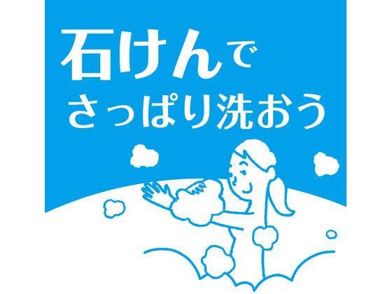 牛乳石鹸 カウブランド 青箱 10個入(ギフト箱) 通販【フォレスト 牛乳石鹸 カウブランド 青箱 10個入(ギフト箱) 通販【フォレスト