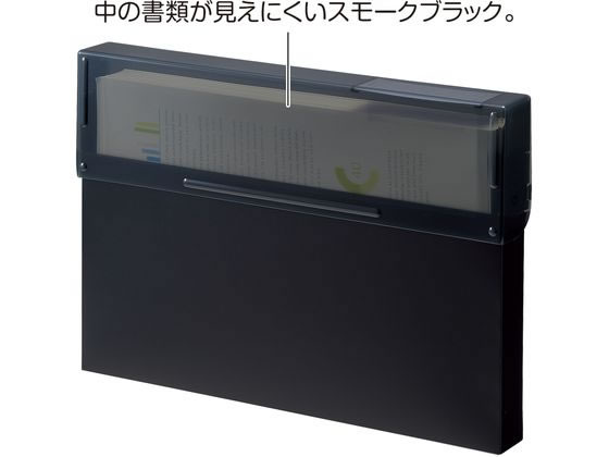 リヒトラブ Noir×noir コングレスケース A4 300枚収容 黒 A5092 通販