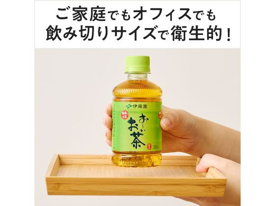 伊藤園 ラベルレス おーいお茶 緑茶 280ml 1セット（48本） お茶