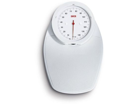 seca �A�i���O�t���b�g�X�P�[�� �̏d�v 25-3211-00 SECA750(�V��)