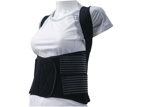 �A�V�X�g�x���g �����T�|�[�g�E�F�A 24-6209-01 �����w���X AB-98(M�T�C�Y)