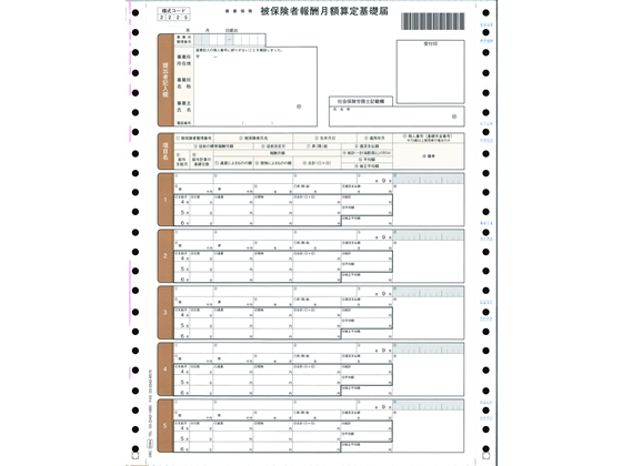●サイズ：Ｙ１０×Ｔ１１．６７●刷色：ブラウン（１枚目・２枚目）●２枚複写 連続（ドットプリンタ用）●注文単位：１箱（１００枚）●内容：（１枚目）健康保険・厚生年金保険被保険者報酬月額算定基礎届／厚生