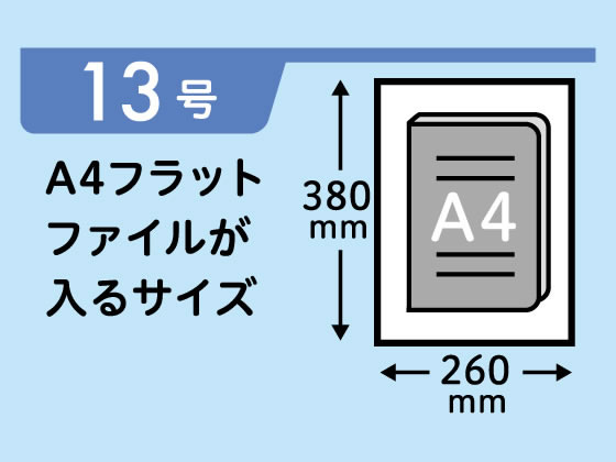 Forestway 規格袋 LDPE 13号 透明 100枚 通販【フォレストウェイ】