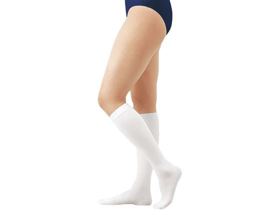 �A���P�A �A���V���N�E�v��J(�n�C�\�b�N�X)�����@�\�X�g�b�L���O�E�\�b�N�X 23-6316-09 17575(SS)�J�^�A�V