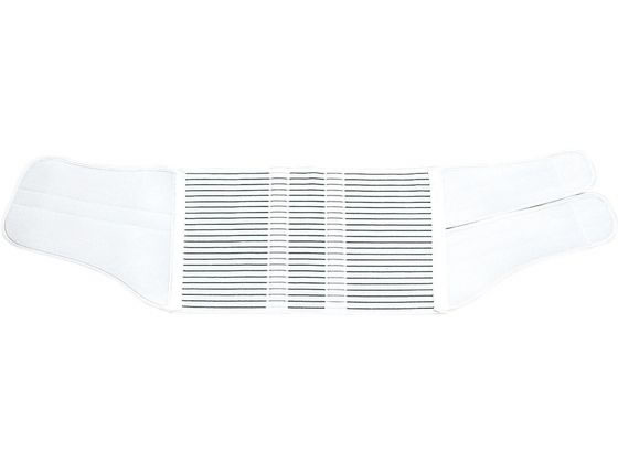 �A���P�A �T�N���t�B�b�N�X(L)�A���P�A 10662(1�R�C��)