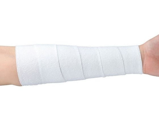 �A���P�A �T�|�[�e�b�N�X(3��)�e����� 23-6180-01 11612(10�J���C��)