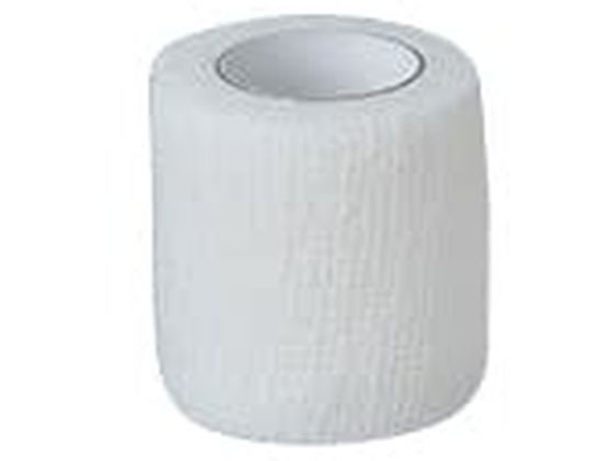 �A���P�A ������сE�t�B�b�N�X 2�� �L�k��� 23-7399-01 17152(10�J��)