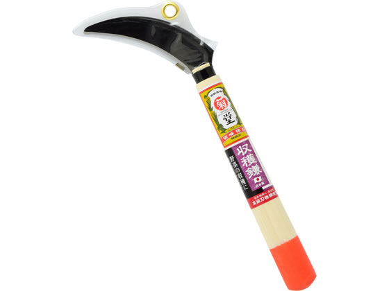 TAKAGI �e�� ���ڎ� ���n���� �� 120mm �I�����W��