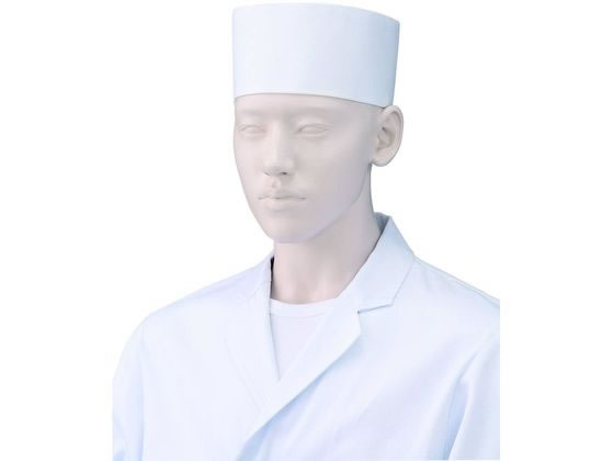 KAZEN WLD �����X(���b�V��) L �z���C�g 2���~2�� 472-90